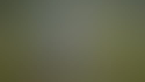 84Ddd2Dd50A793Fc3288Dd2C45Ef27Dd