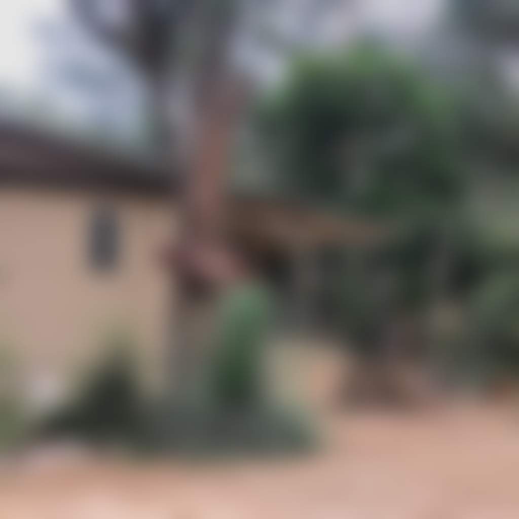 E83B6Dee8B001F0E704196828C09A071