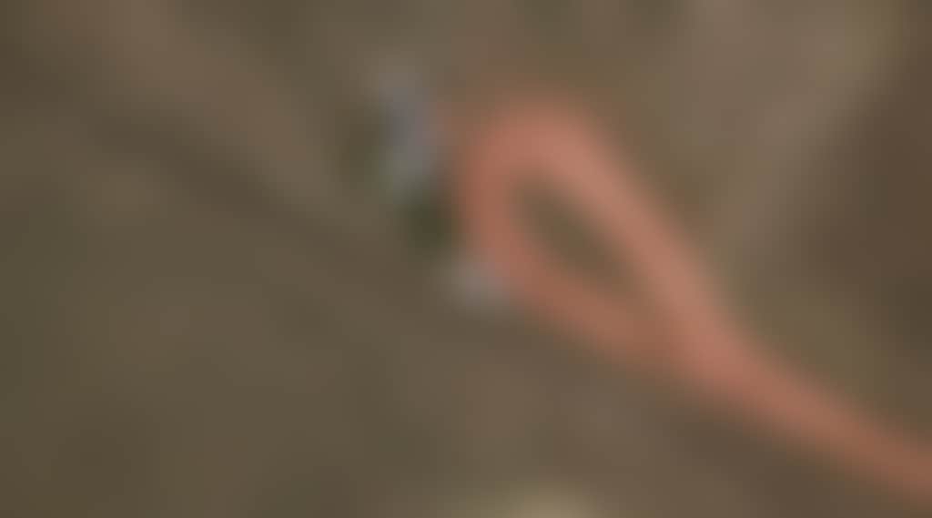 Ee004Ce984A0412353C54472956313B7