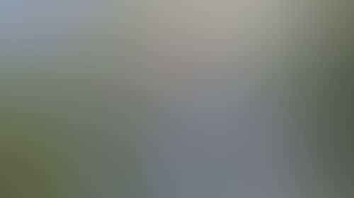 85193879443358Cb83Bb65A7201C58A5