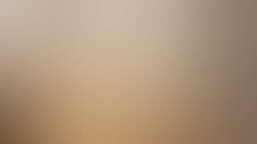 2060Aeb83Bb7C123F5202D65Ab745B00