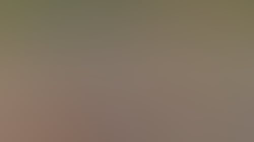 168637 56