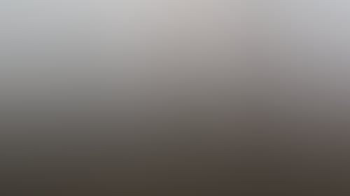 C088E97538008146197F3752Ebb7525A