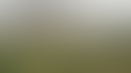 8D3E733614Ad1C1Ecf530F9Ab8Ab48De