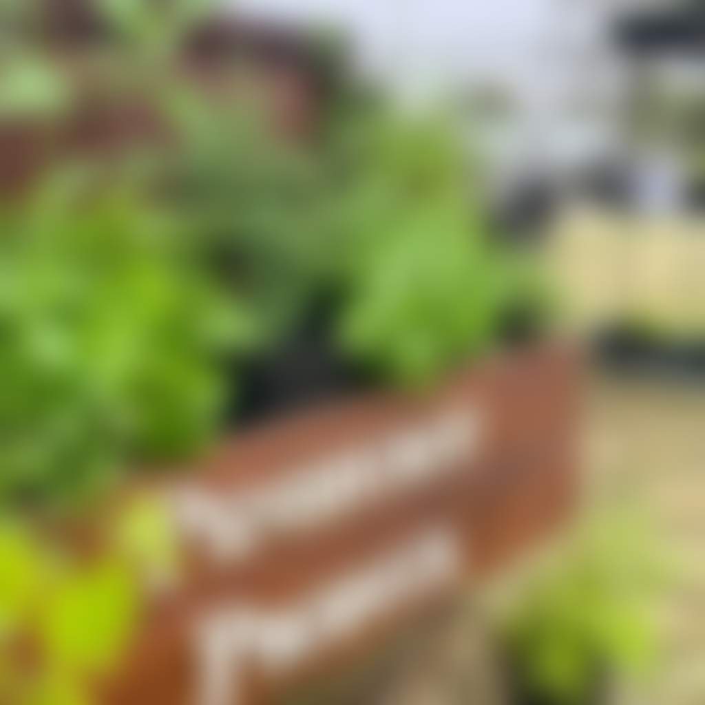 Bc6C7D7385Ac209C1E5C36B4E6616A83