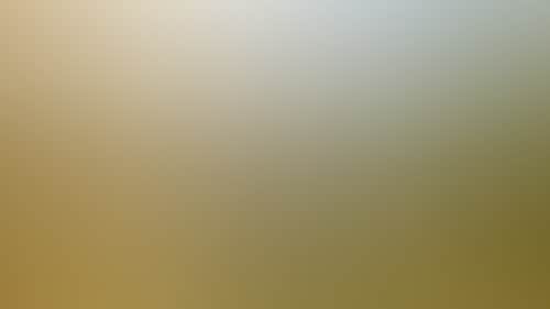 6511Bac2C31F0B680E2Cea16Ace8E9C3