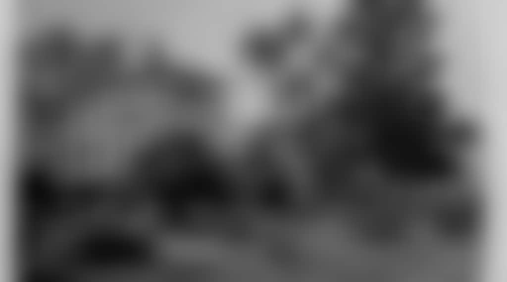 D7E76Bd8356De7502Afc0Dffa8603Eba