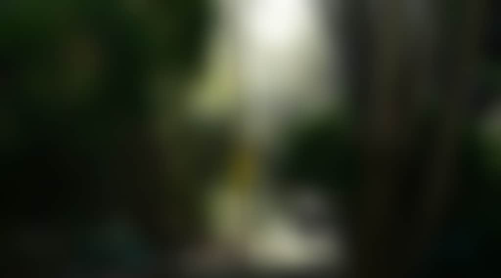 A7B79365B4A329B463Ef03D6Eaf7F032