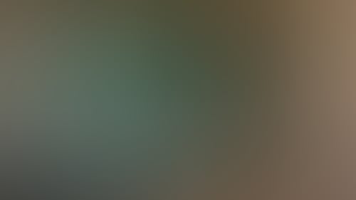 D2B3A39D66994B1E4Af409F15C4E9D52