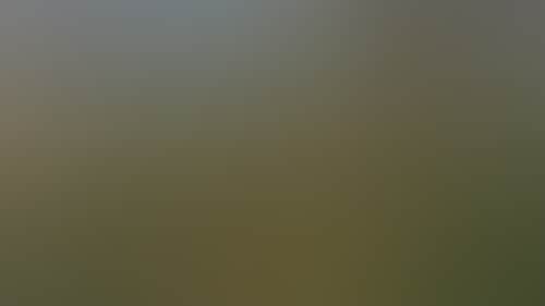 74C52079962Bdb07C9Ee40A1C2174E27