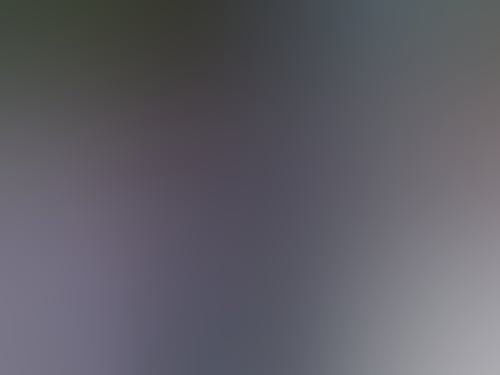 Caf1114fa7faf1e1bf6afebb85dc7fa3