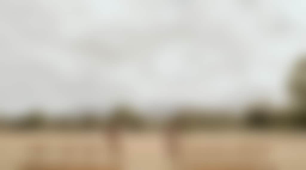 D2Fd909C533Cc3970Da9D24729162D9D