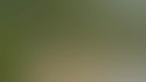 4F6F4D9Bfc6Bc7Ce8203Cd3309Ab2E83