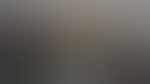 219Affaaaf044498Fffa6810B16E11Ef