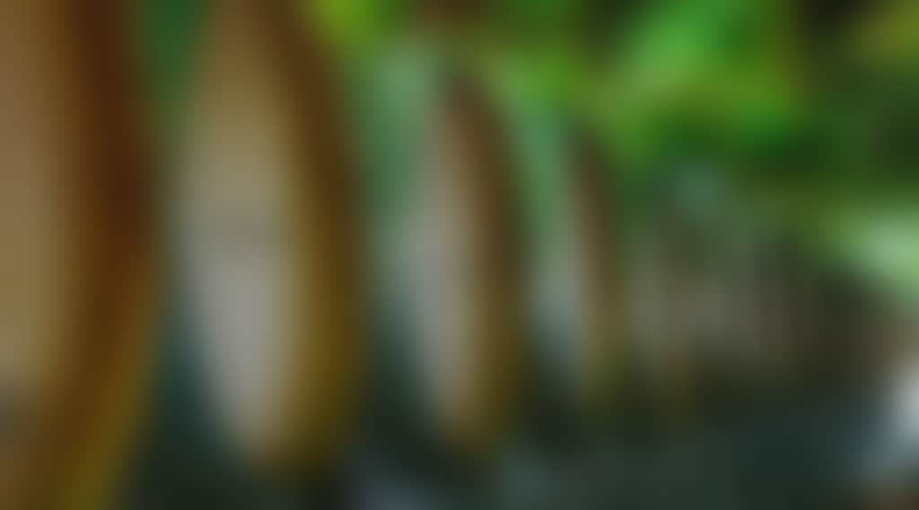 C241A2625318B9Ff5Fa741322E86E4E5