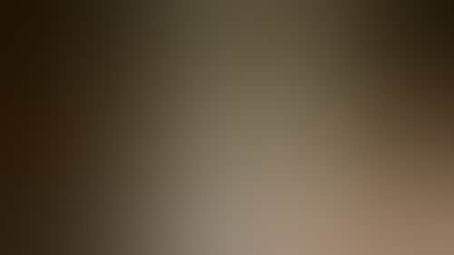 Be9Bd56215659Acf5Fd27D26Ddc29349