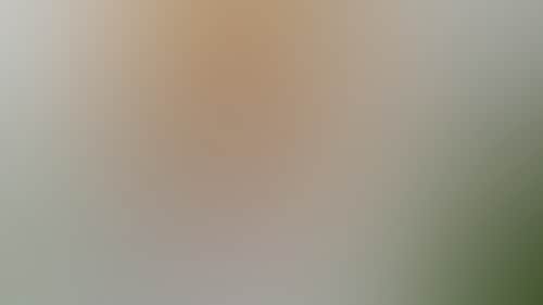 4C0A79Bd9553D85261931C3C14536116