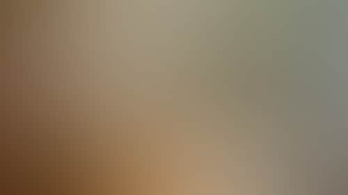 113Fd5E9C3253Fe2C4C5D93A76F20Ab5