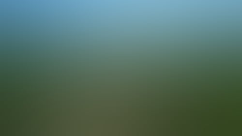 Original__9649814_Cd39_Looking_Over_The_Viognier_Toward_The_Hill_Yuxkzwu
