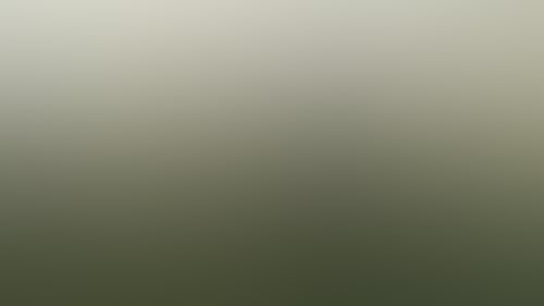 706Ce5B486Fbab84D4Ff41513727Cc43