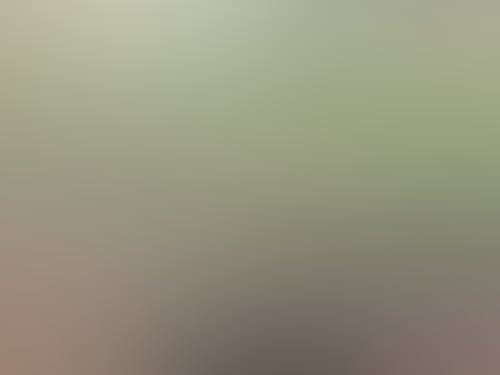Baa3400 30077264 1724203270994958 2341833838721761280 n