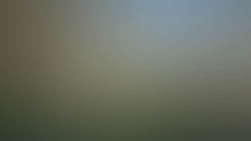 Fe52A9965D3Cd51F0F44F5D245A604D8