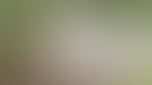 7D5E99A842E920B412Afc347Ee184327