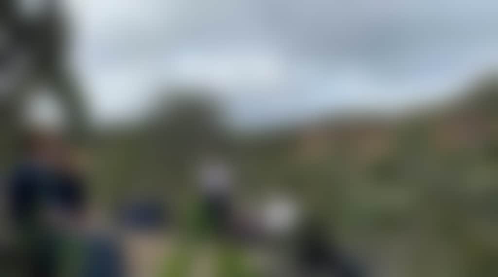 5021Cc1B07Dac0694757A7Ebf9C08E01
