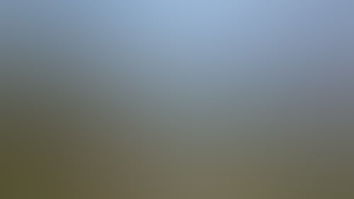 B7A896D4Eed05C0805243F1Ba6A0F35F