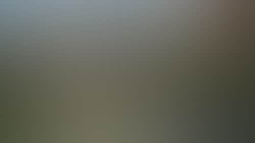 Fcd80Bed499238Dc7Ad1D39D38026029