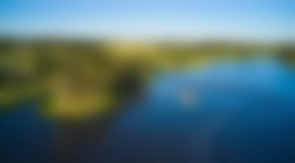 D6418C08E94D06564Fb4F4F1Ab5Cb507