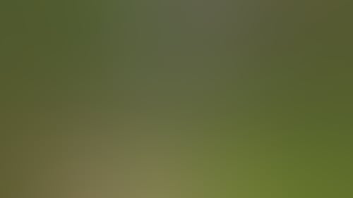 76Ad683C5137E0E8B2534400E64Bc3B4