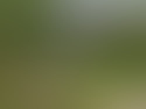76Ad683C5137E0E8B2534400E64Bc3B4
