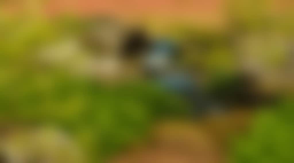D05728D86D99Ac89C98C22D4Ea8B4Add