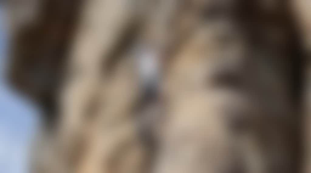 769866C7824B6B36Dcd420E5F2D91Cfe