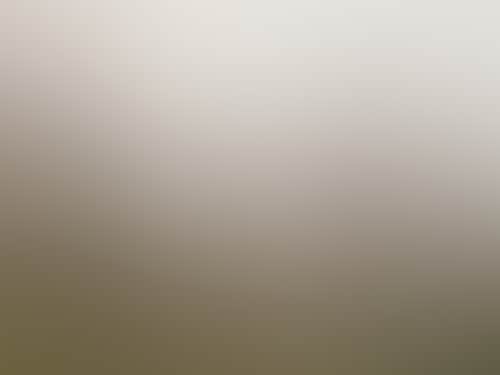 Wirreanda Farm Chapel