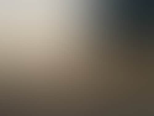 E3Ccdb37Da2B4281Eb07C910C7Be2A7E