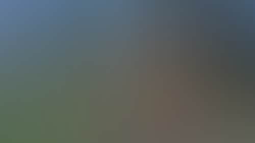 486Dd391655Aa7C8946311A4C2114127