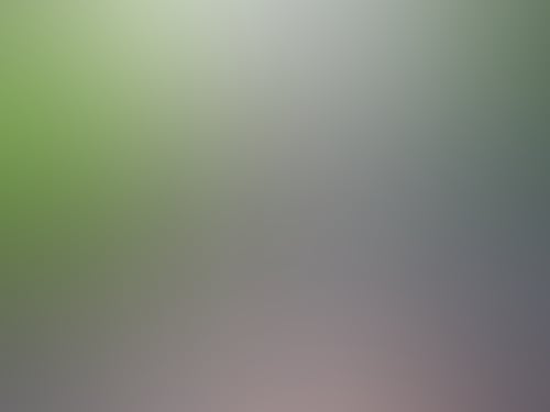 8db6d4490266d2360210d0f873b84868