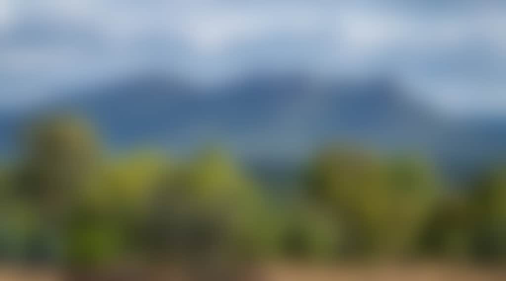 Ce0592E0B48F7374Df3C9E142895Dccd
