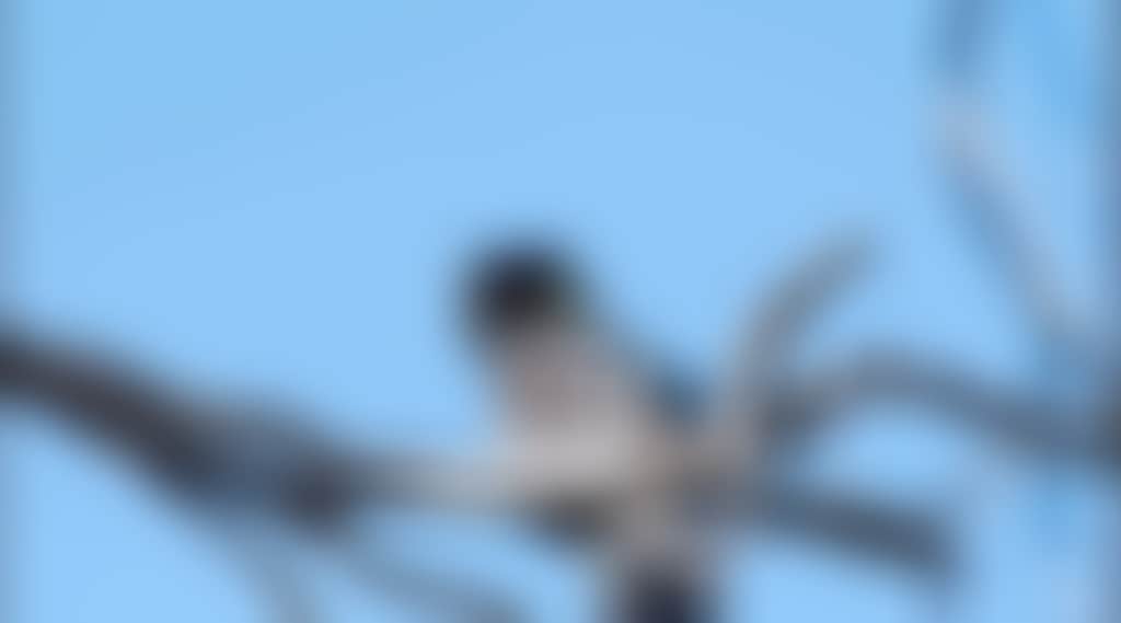 D2Aa629Fde2F880D3Ed926712886Ea0C