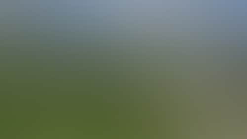 96252C1E1F18F7C315Dc8E33Aaf7419F