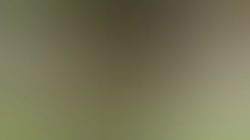 Fddbcb1E47Db329700C529560E3B7C5F