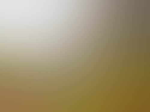 8Ba15D1Cc518Ab2775510Ecbe36F89Da