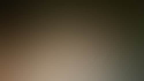 16Ef6254F5B80336443E9F4D40B37D4B