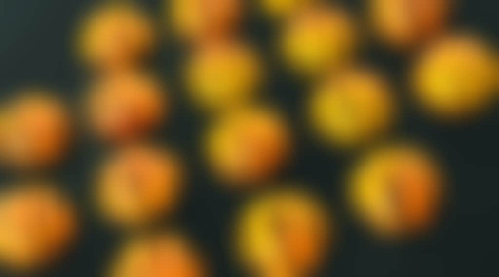 64Acc2Aec9826D7F7436E299A14D6F85