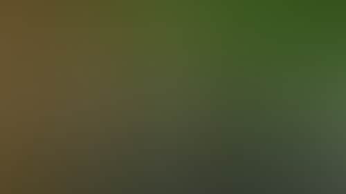 C241A2625318B9Ff5Fa741322E86E4E5