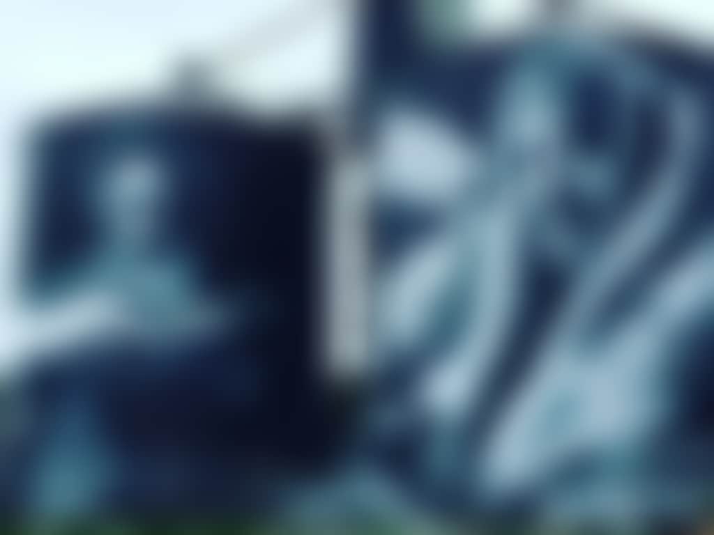 2A98D8B5A2Ed7Fd9653Aab70B013E370
