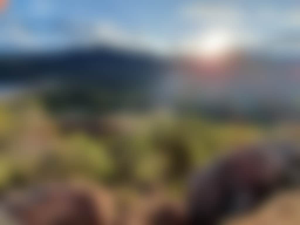 Ea942E1Efb89E6245A0108A63Afdf584