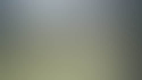 83939E44794872C61F41Be20D407E686